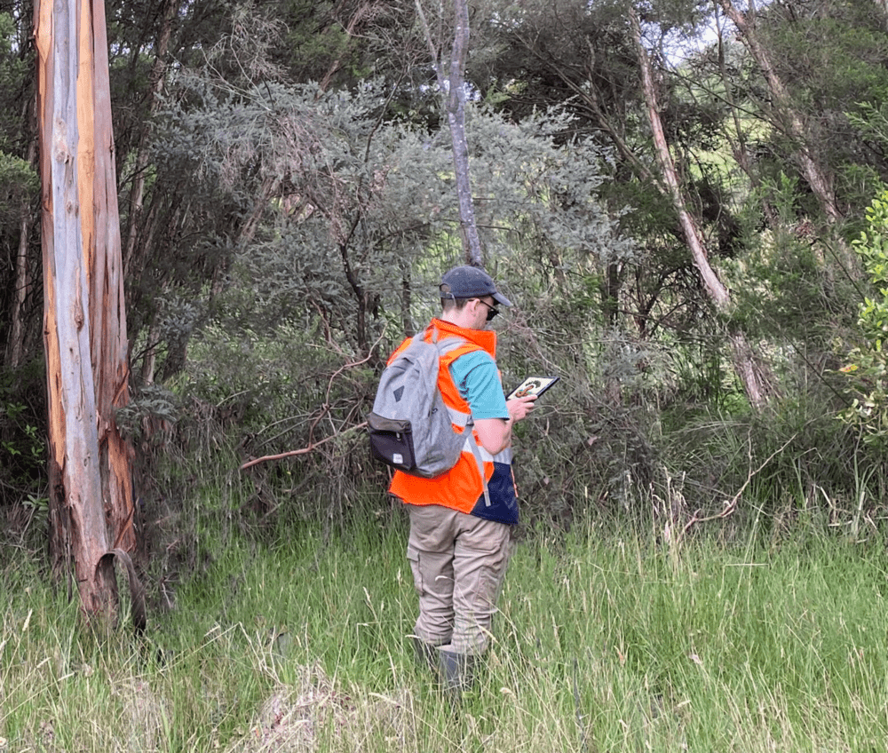 Testing the Giant Gippsland Earthworm App